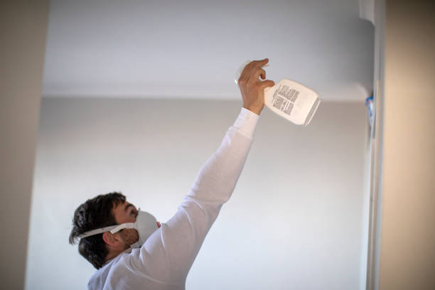 Reliable Ina, IL Mold Remediation Solutions