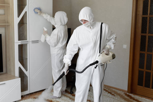 Best Post-Flood Mold Remediation in Ina, IL